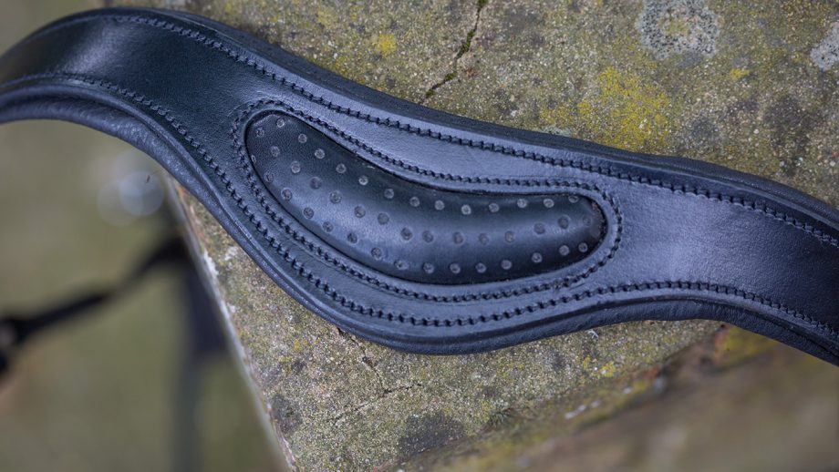 Collegiate ComFiTec headcollar review