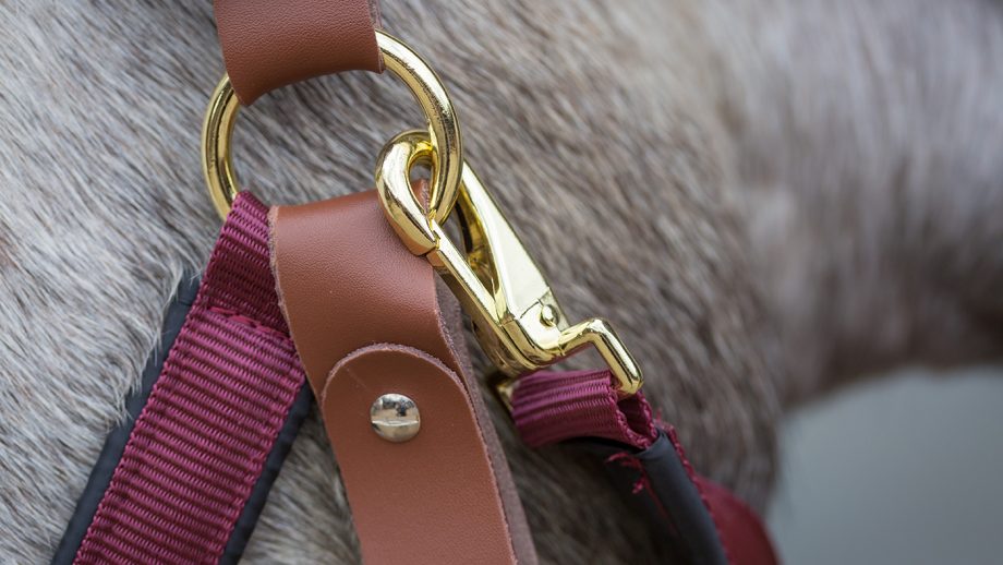 Schneiders Dura-Tech deluxe breakaway headcollar review