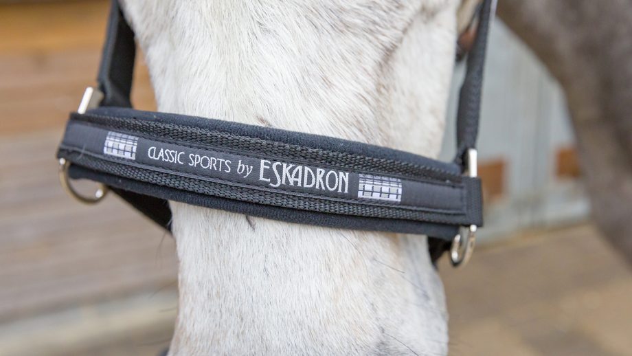 Eskadron Classic Sports headcollar review
