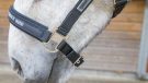 Eskadron Classic Sports headcollar review