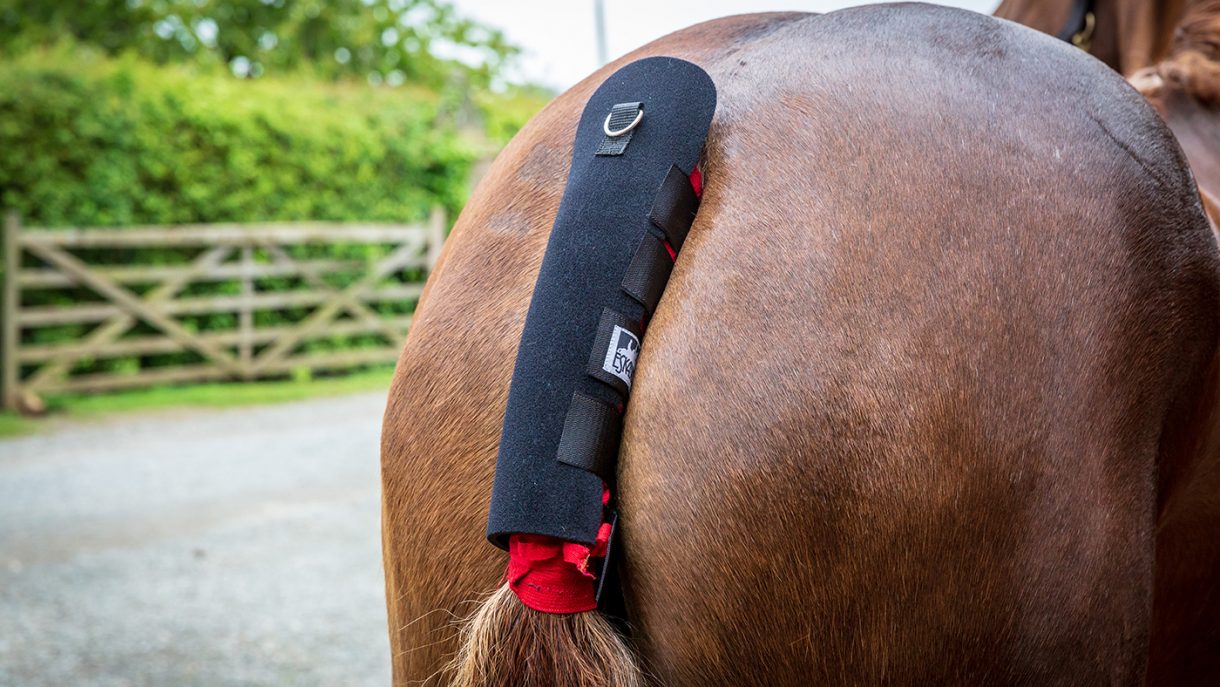 Best tail guards for horses with and without tail bags Horse & Hound