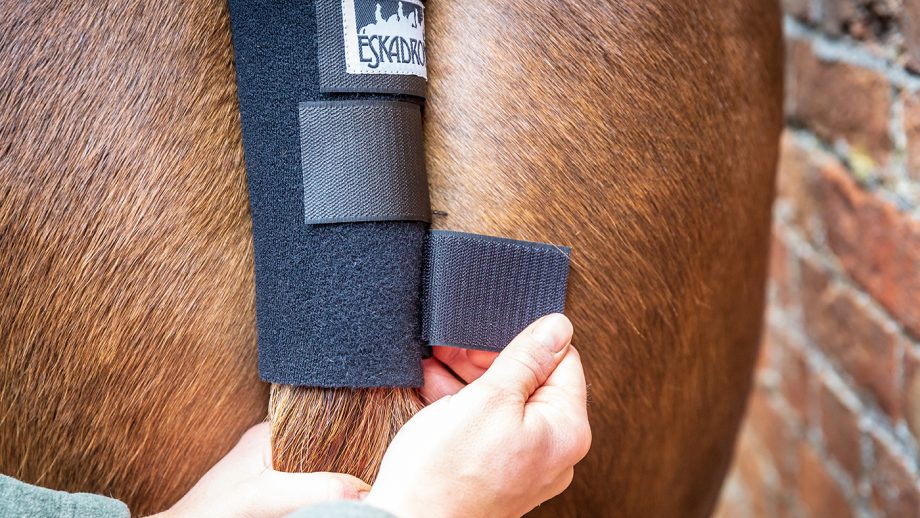 Eskadron tail guard review