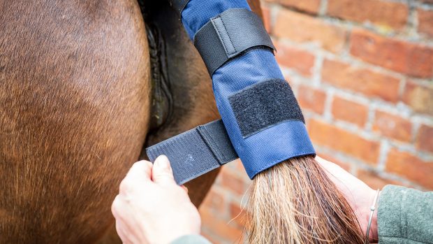 Hy padded tail guard review