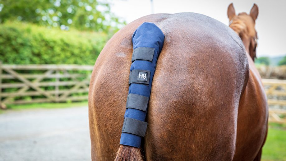 Hy padded tail guard review