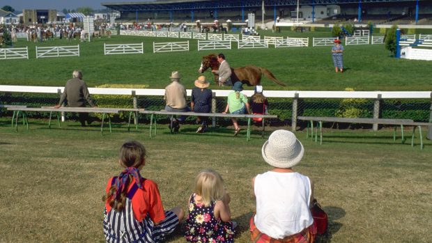 Spectators watching the horses at the Great Yorkshire Show.