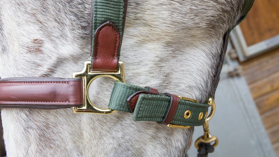 LeMieux Capella headcollar review