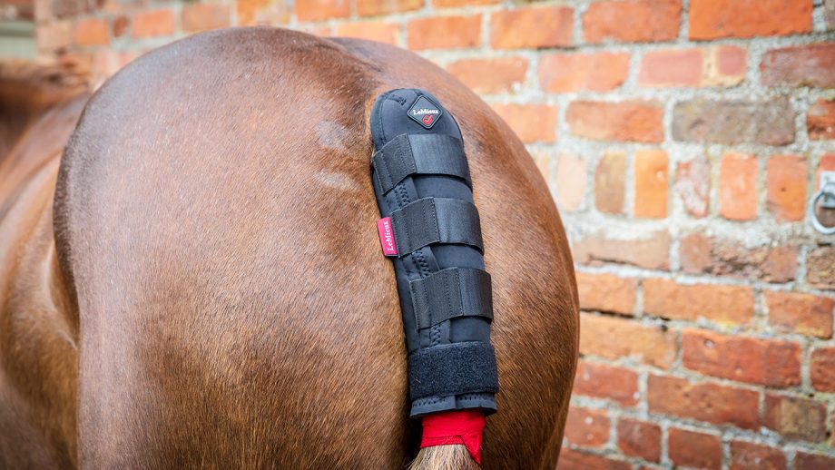 LeMieux tail guard with bag review