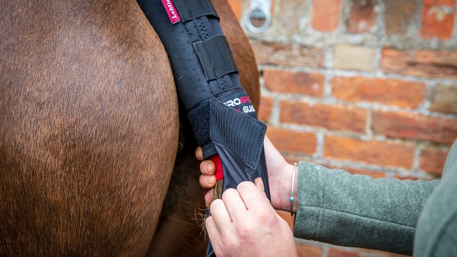 LeMieux tail guard with bag review