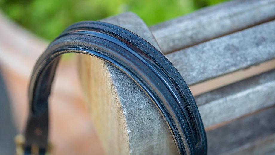 Albion patent leather padded headcollar review