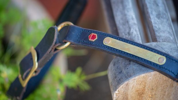 Albion patent leather padded headcollar review