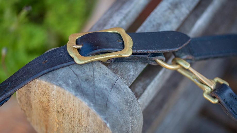 Albion patent leather padded headcollar review