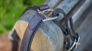 John Whitaker Chicago perforated leather headcollar review