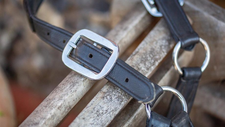 LeMieux Anatomic headcollar review