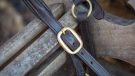 Shires Blenheim leather travel headcollar review