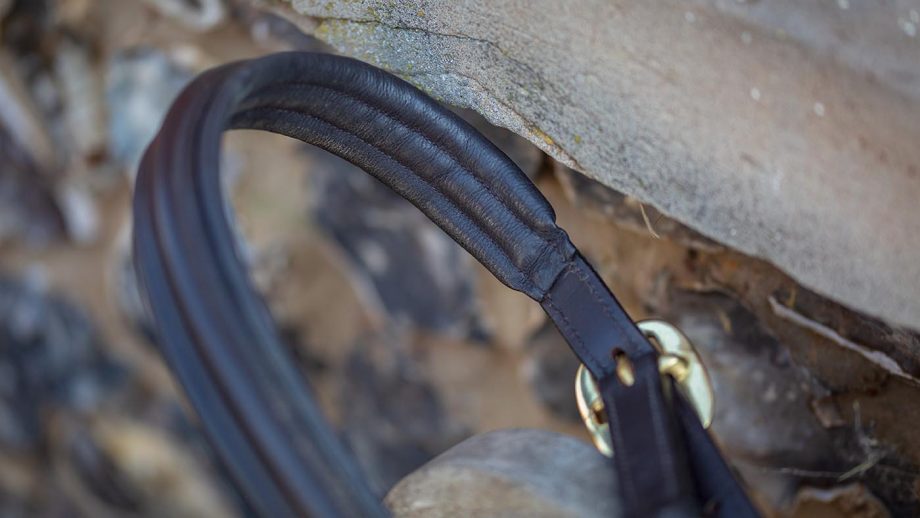 Shires Blenheim leather travel headcollar review