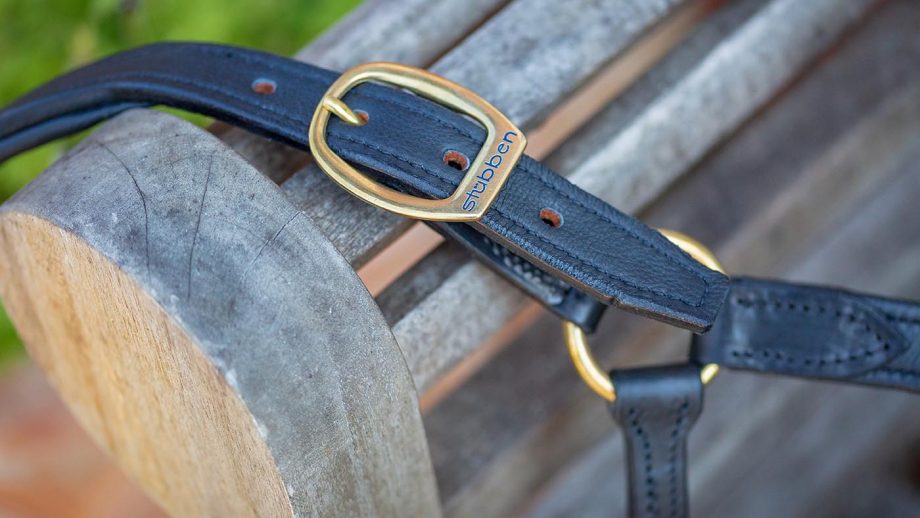 Stübben leather headcollar review