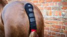 Premier Equine padded tail guard with tail bag review