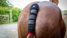 Premier Equine padded tail guard with tail bag review