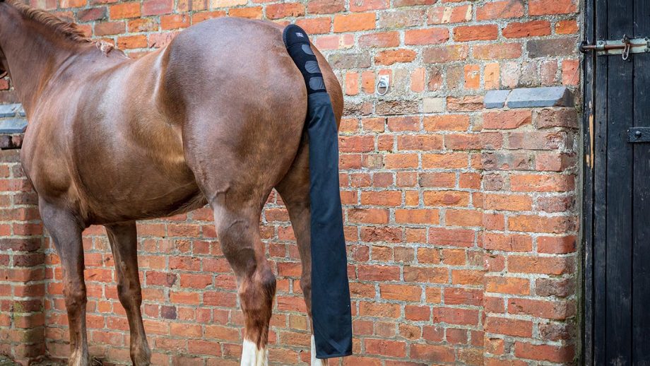 Premier Equine padded tail guard with tail bag review