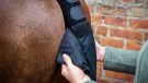 Premier Equine padded tail guard with tail bag review
