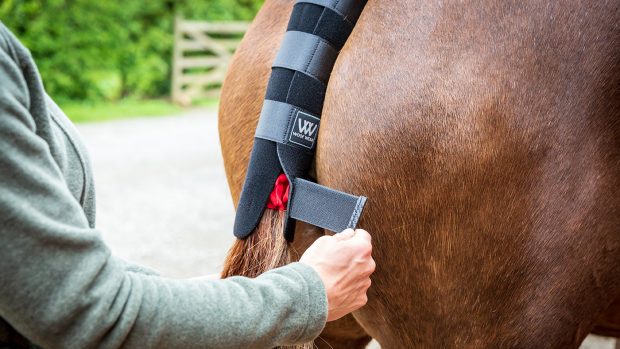 Woof Wear tail guard review