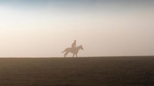 DM396R Middleham, Yorkshire, UK. 11th December 2013. Early morning Uk Weather with Uk Weather Fog & Inversion Layer over Middleham Gallops, North Yorkshire Dales. Middleham now boasts its own grass and all-weather gallops on the Low and High Moors. Middleham is established as a leading training centre in the UK where fifteen trainers are based. The facilities and layout have continued to improve allowing trainers to send out fit and competitive athletes and have been rewarded with further success at the top level. © Mar Photographics/Alamy Live