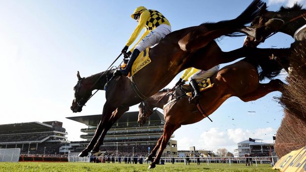 Cheltenham Festival tips Al Boum Photo, 1st (nearside) leads over the last 13-3-20