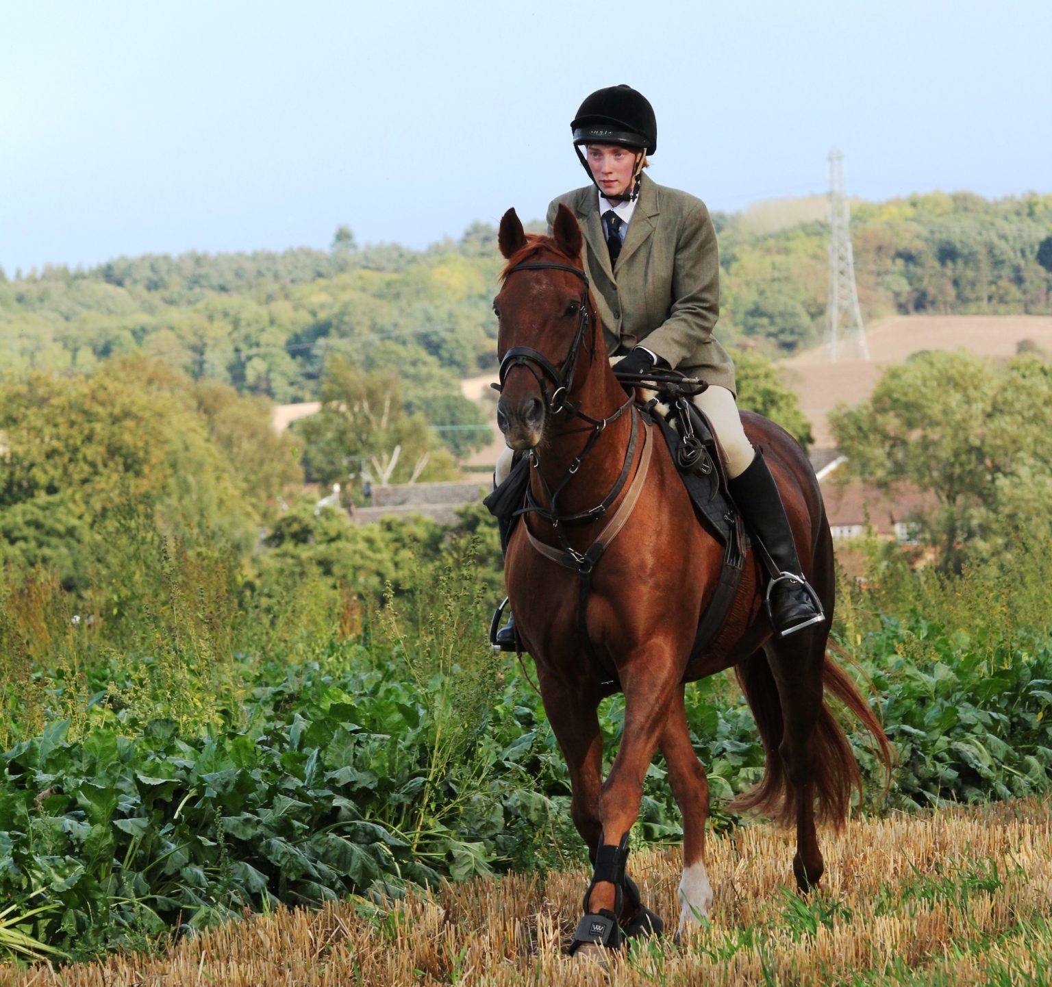 Veteran horse and hound retire with same family after many hunting seasons together Horse & Hound