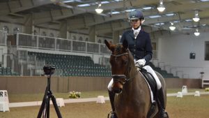 online dressage