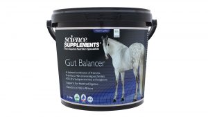Best gut balancers for horses : what’s on the market? | Horse & Hound