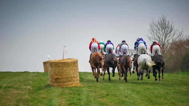 T29E37 Cotley, Chard, Somerset, UK. 31st Mar, 2019. Action from the opening race, The Barleymow Farm Shop Restricted Race, on Mothers Day at The Cotley Hunt Point-to-Point Race meeting. Credit: David Partridge/Alamy Live News