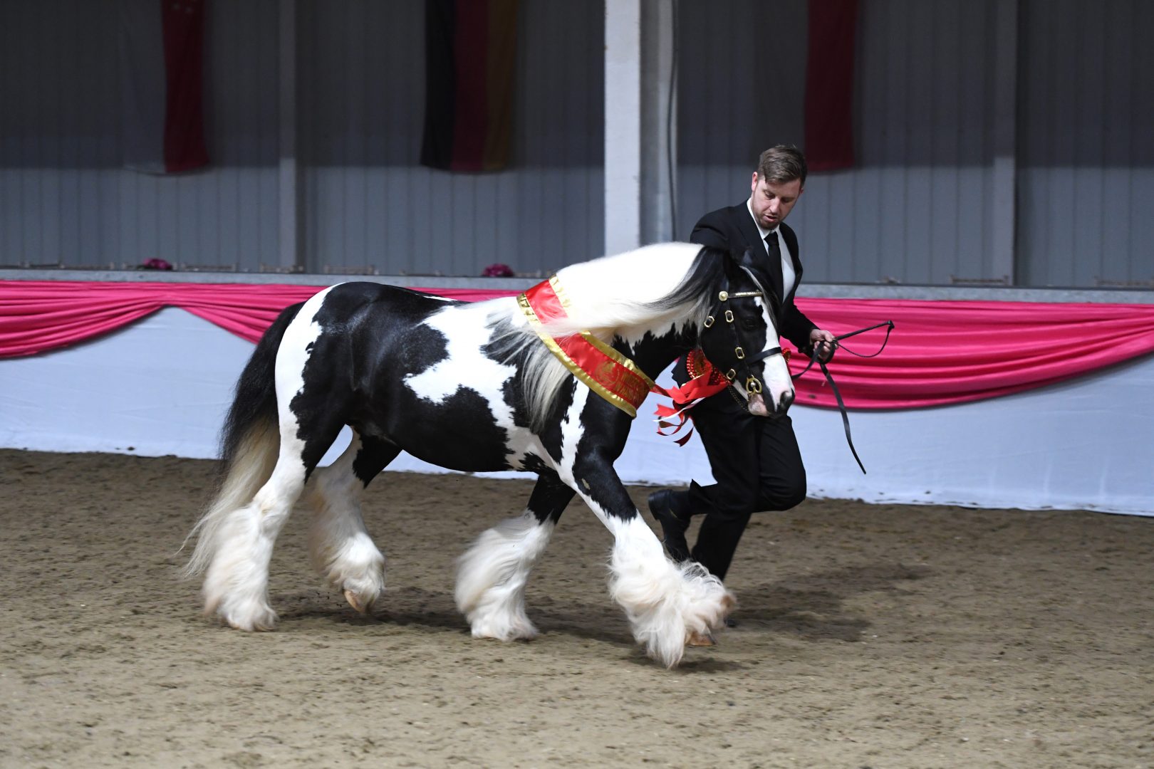 Size isn’t everything meet the 12hh hairy pony bought for £100 and is
