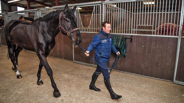 Vermento (?) with Robert Whitaker at his yard, Brook Farm, near Crawley in West Sussex in the UK, on the 4th February 2020