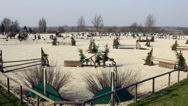 general arena view, showing line up , arena with jumps , working hunter jumps