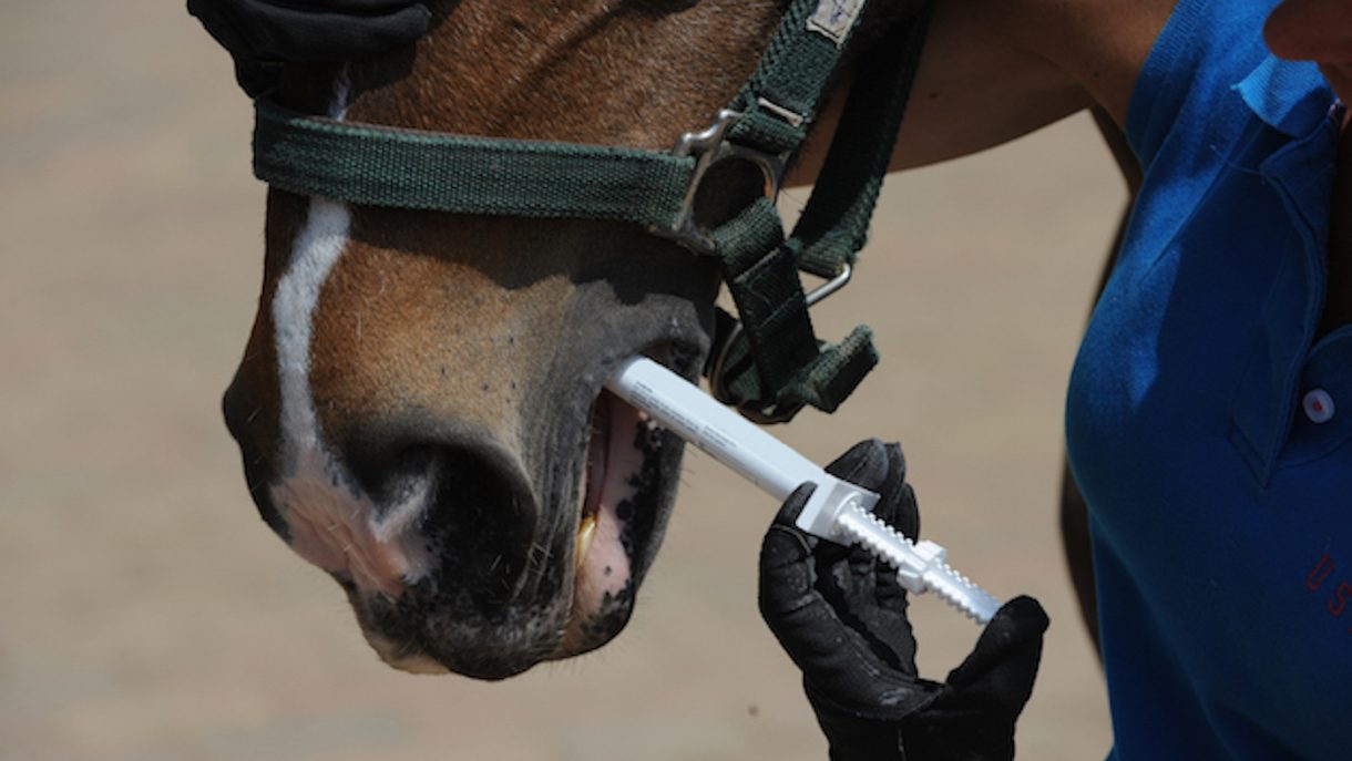 Worming horses what horse owners need to know Horse & Hound