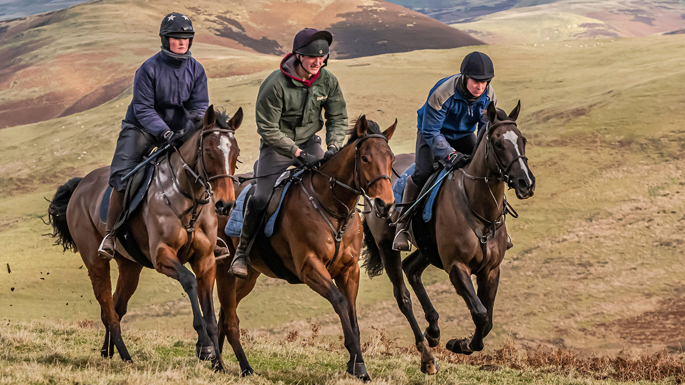 Thoroughbred racehorses working on their fitness regimes.