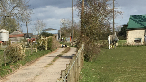 Walkers in the countryside