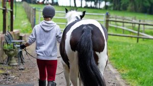 Leading a horse to the field