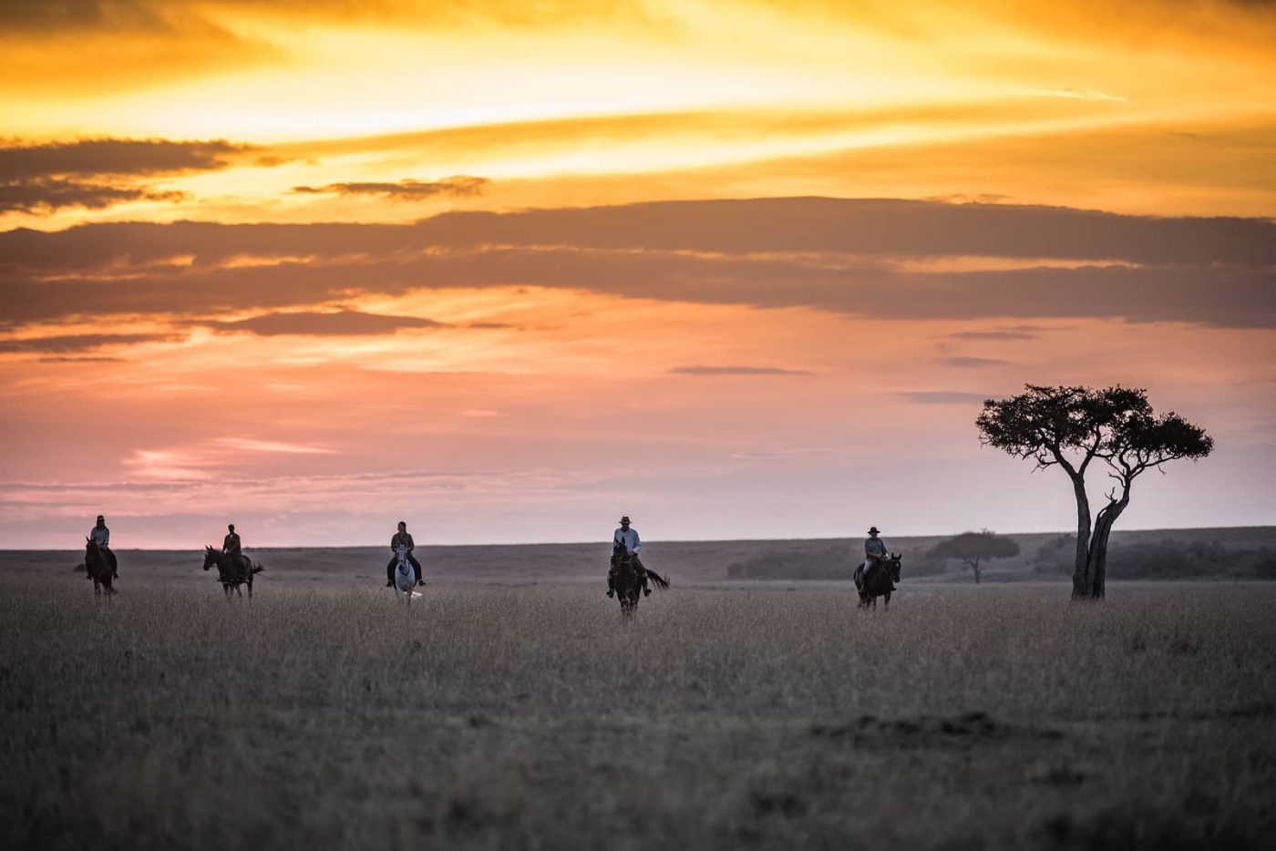 African Horse Safaris