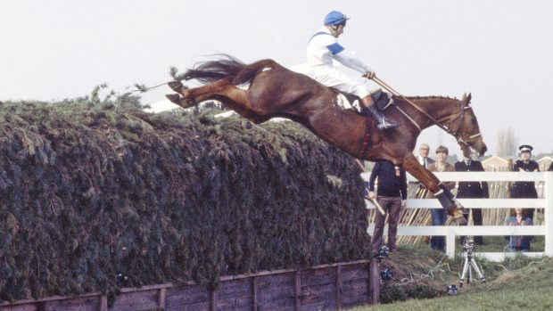 English jockey Bob Champion on Aldaniti (1970 – 1997) clearing Becher’s Brook for the second time on the way to victory in the Grand National at Aintree Racecourse, Liverpool, 4th April 1981. (Photo by Bob Thomas/Getty Images)