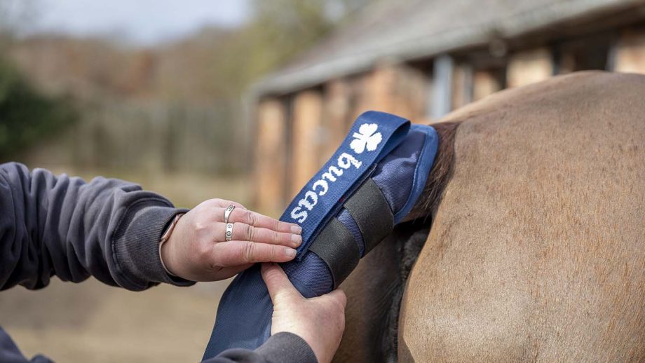 Bucas tail protector and bag review