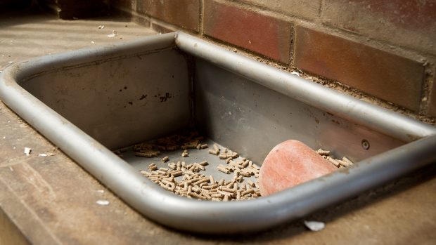 A horse's manager with feed and a salt lick.