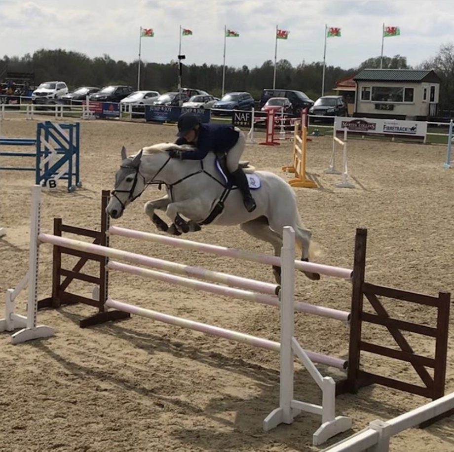 Malcolm the grade A showjumper is still in the money aged 22 Horse