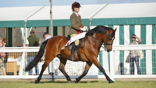 Aimee Devane Sabrinas Stormy Fellow