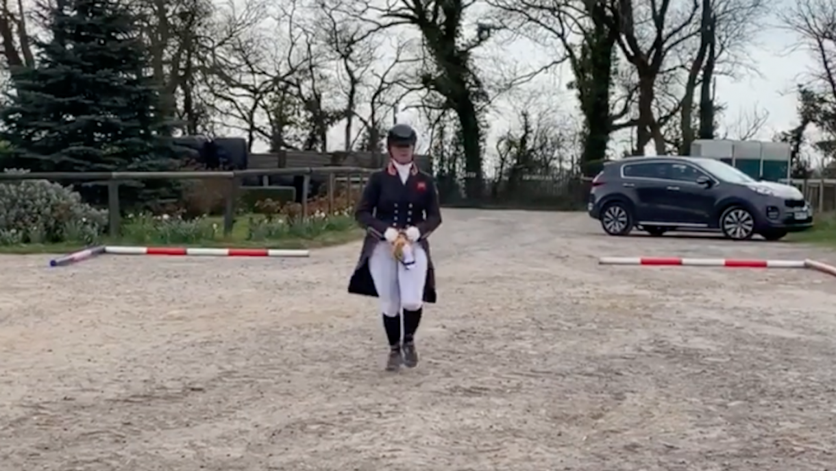 Dressage with a difference hobby horses at the ready to help NHS