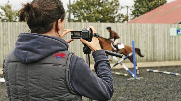 Lockdown tasks for horse owners