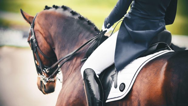 How to break in new riding bootsLibrary image.