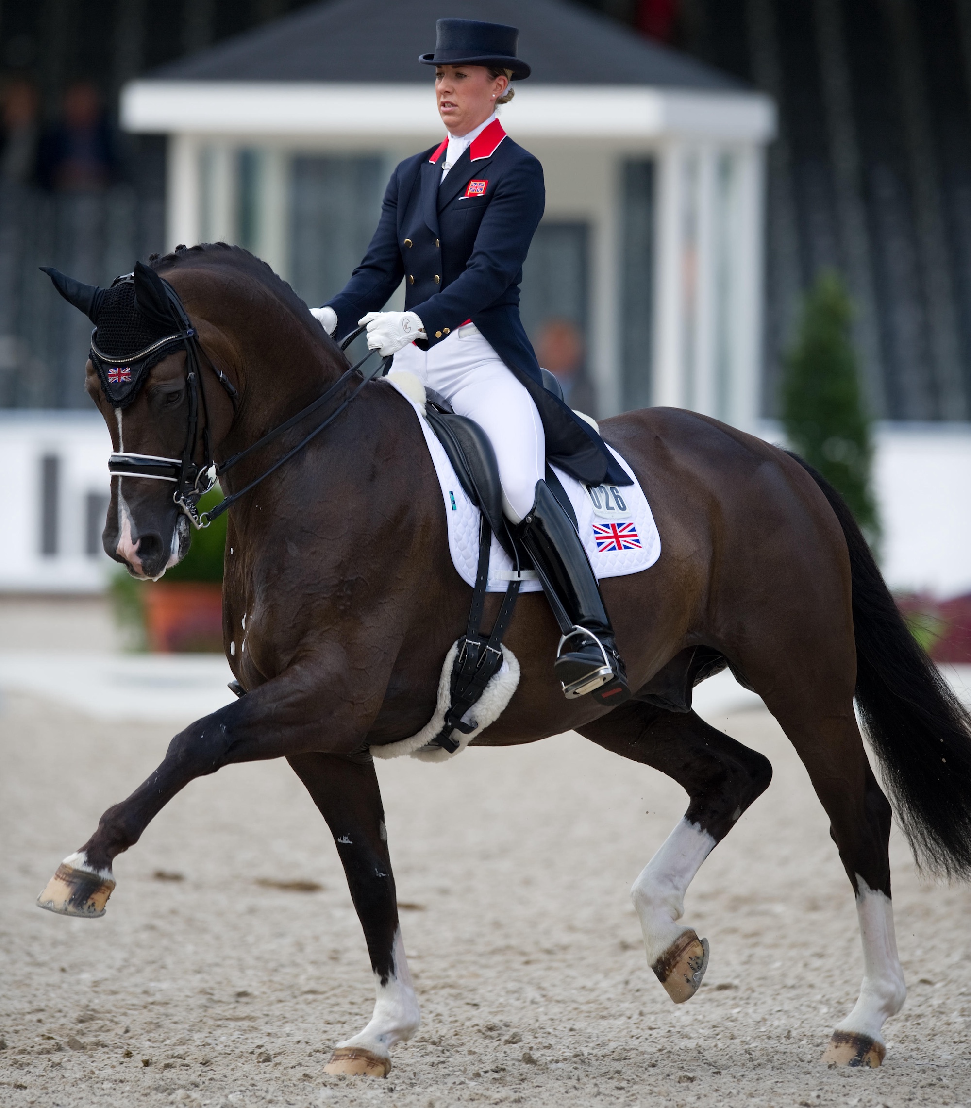 Valegro at the Rotterdam Europeans in 2011