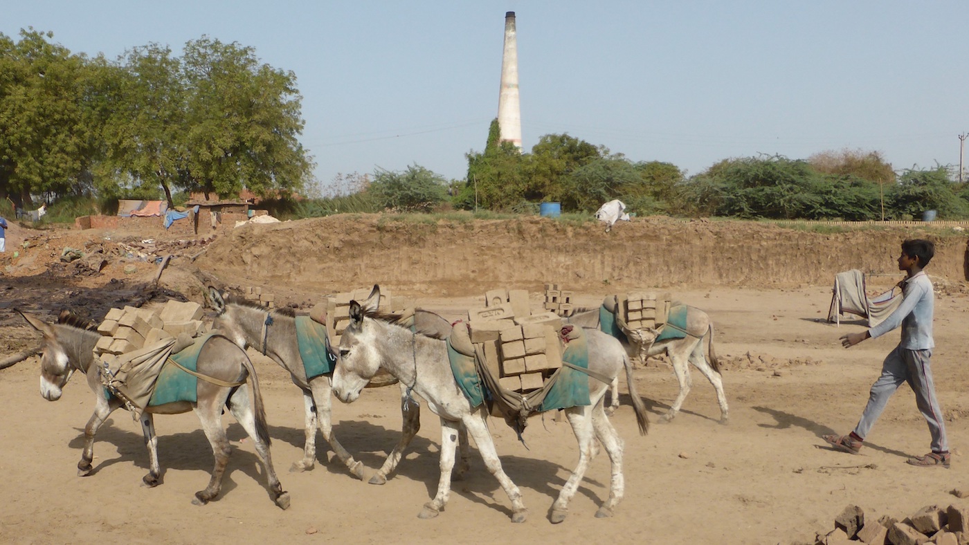 Taking equines to the heart of the international agenda *H&H Plus - Horse & Hound