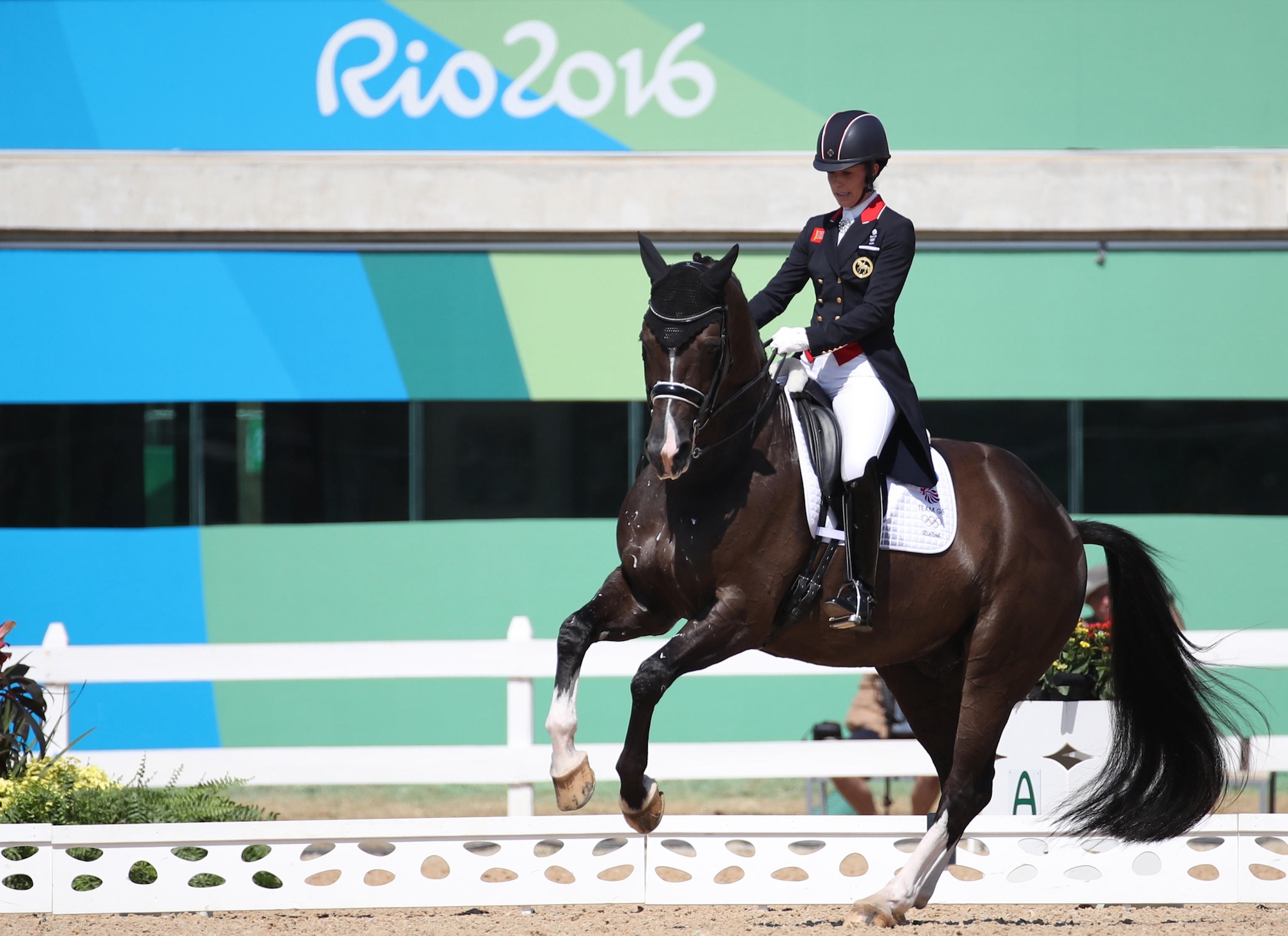 Valegro at the Rio Olympics. Alan Davies' memories